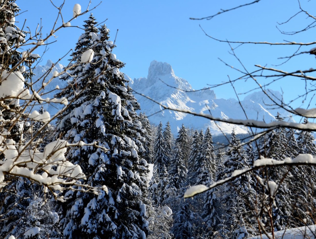 Winterurlaub im Lammertal mit Blick auf die verschneite Bischofsmütze