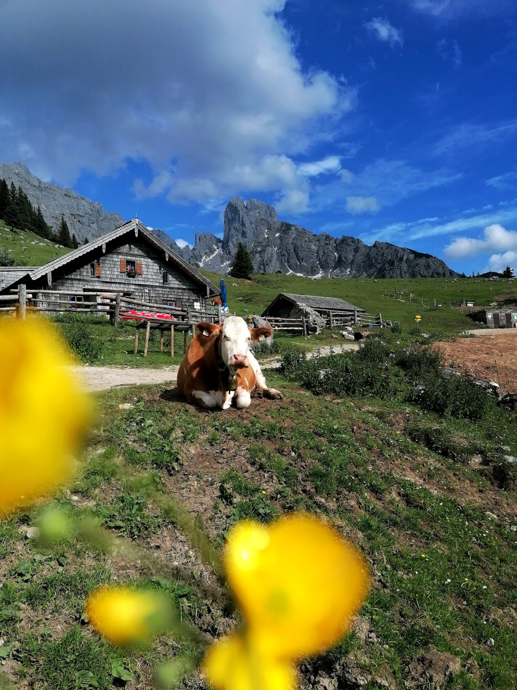 Wanderurlaub im SalzburgerLand