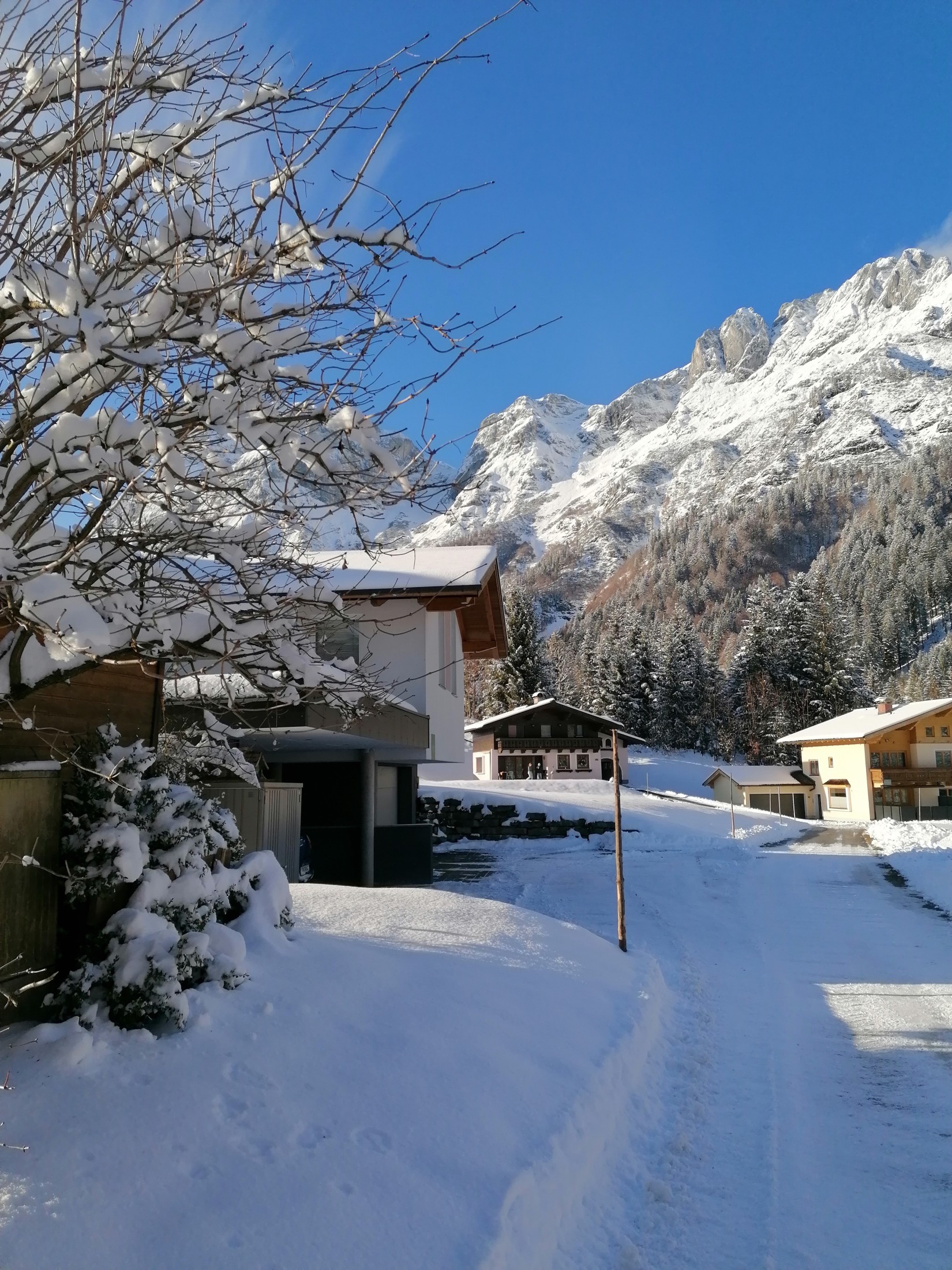 Verschneite Bergwelt in St. Martin am Tennengebirge