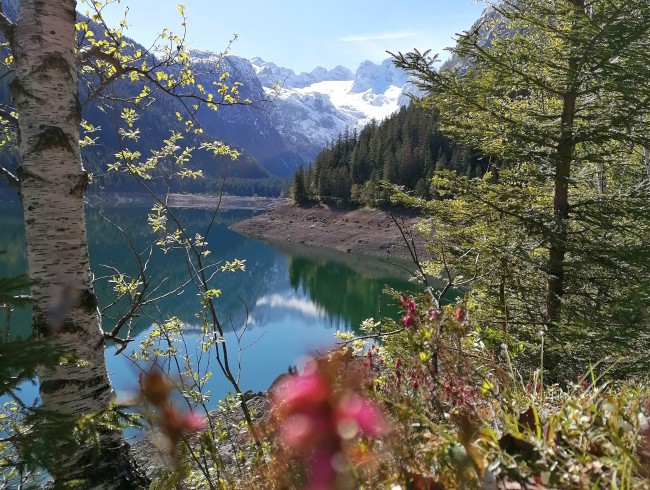 Gosausee mit Dachstein