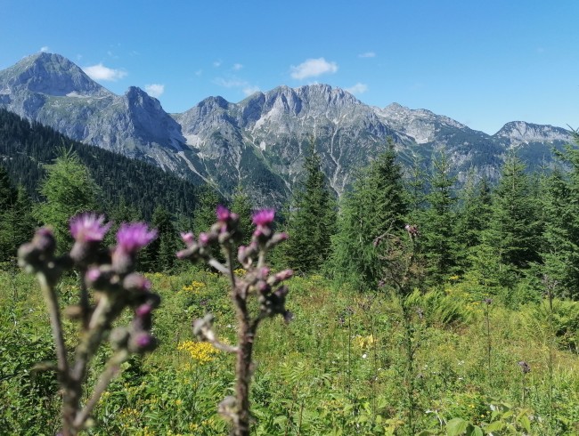 Blick auf das Tennengebirge