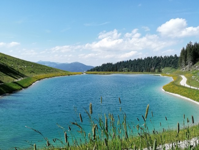 Speicherteich bei der Rottenhofhütte in Annaberg/Lammertal