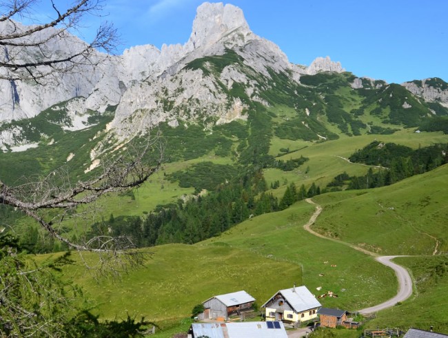 Wanderung zu den Loseggalmen in Annaberg im Lammertal