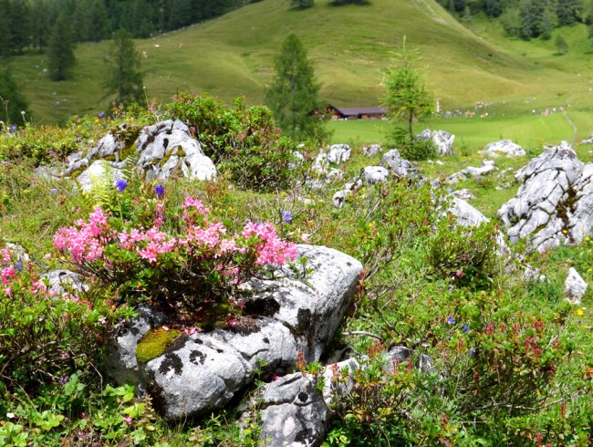 Wanderungen aller Schwierigkeitsgrade