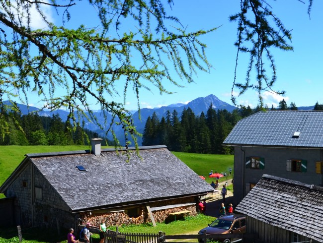 Wanderung zur Zwieselalmhütte