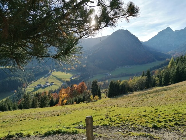 Blick ins Lammertal von der Impau
