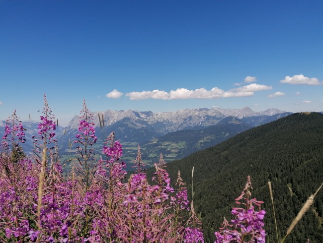 Traumhafte Ausblicke