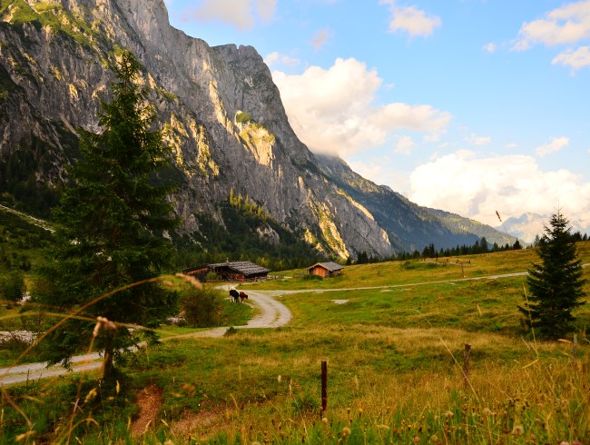 Wanderung zur Aualm ab Haus