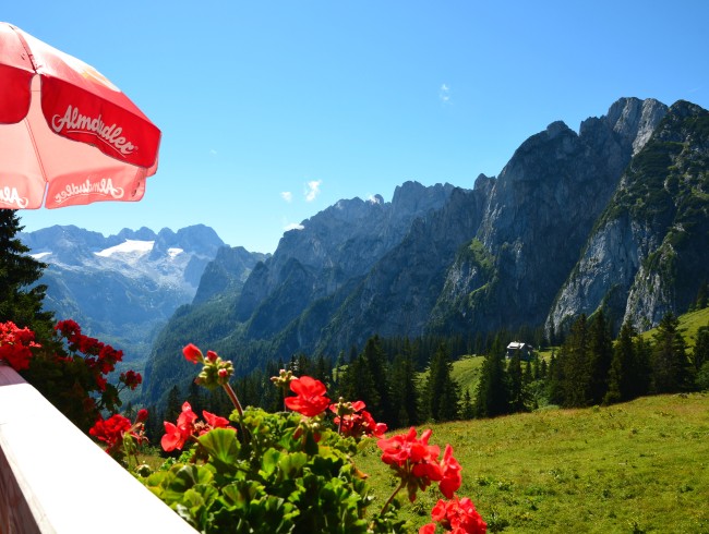 Sonnenalm mit Blick auf den Dachstein