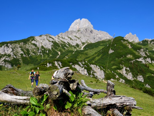 Wanderung am Gosaukamm