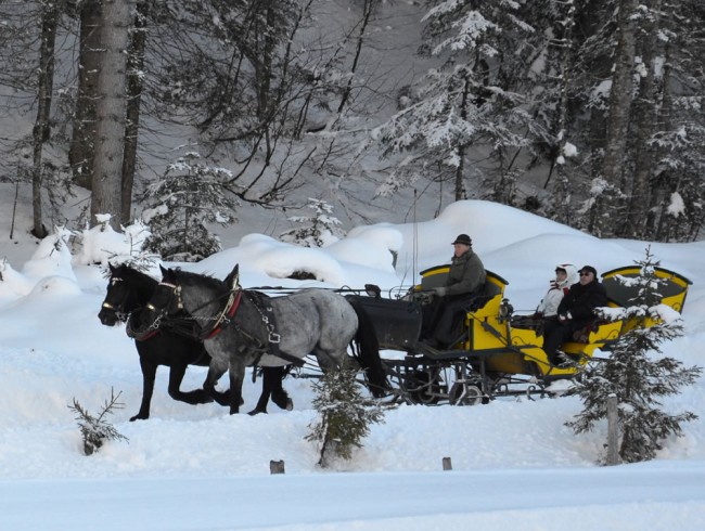 Pferdeschlittenfahrten im verschneiten Lammertal