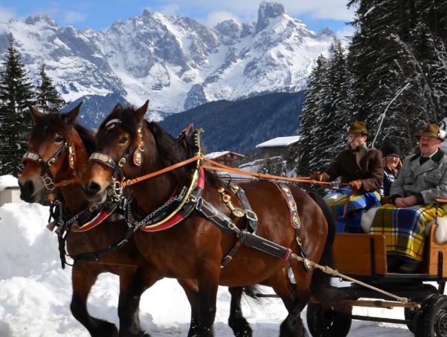 Pferdeschlittenfahrten im verschneiten Lammertal
